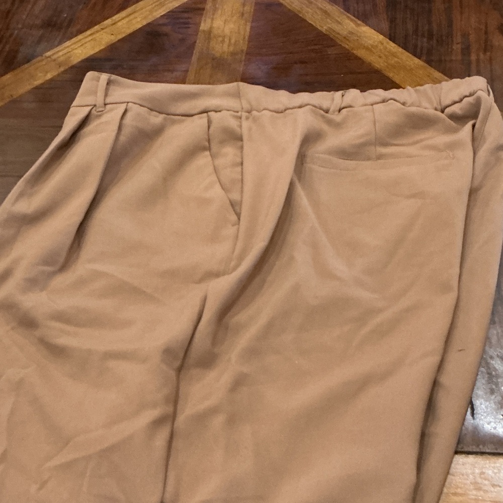 Dex Women's Classic Tan Pants